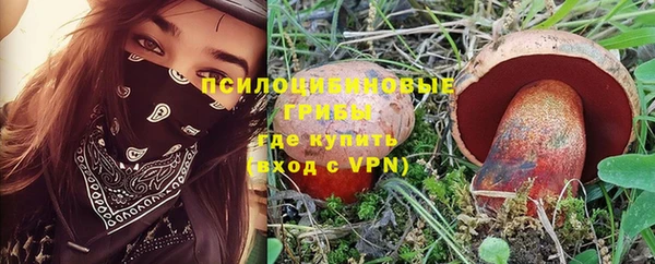 ALPHA-PVP Верхний Тагил